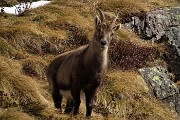 Valle e Passo di Salmurano con canalino per il Benigni in invernale-primaverile il 22 marzo 2019 - FOTOGALLERY